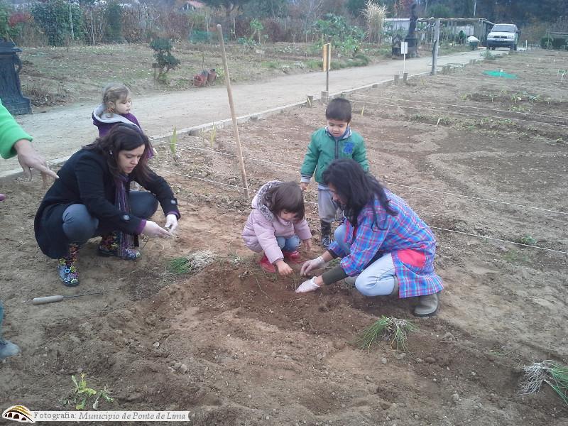 Projeto 'Horta para Todos' - Creche S. Vicente
