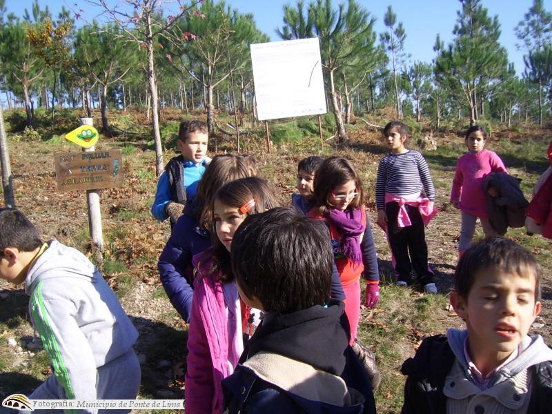 Serviço Educativo - Floresta Amiga | dezembro 2013