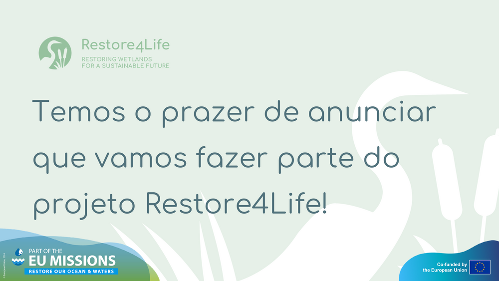 Cartaz Restore4Life
