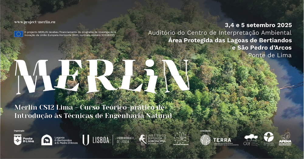 banner_merlin_curso25